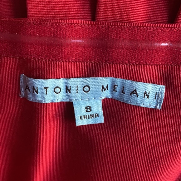 Antonio Melani Alicia  Strapless Dress. - Picture 7 of 14